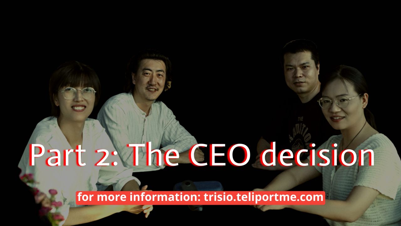 The CEO decision : Three Six Zero = Trisio